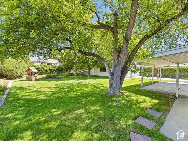 Expansive lawn with a mature shade tree, concrete patio, and stone stepping-stones