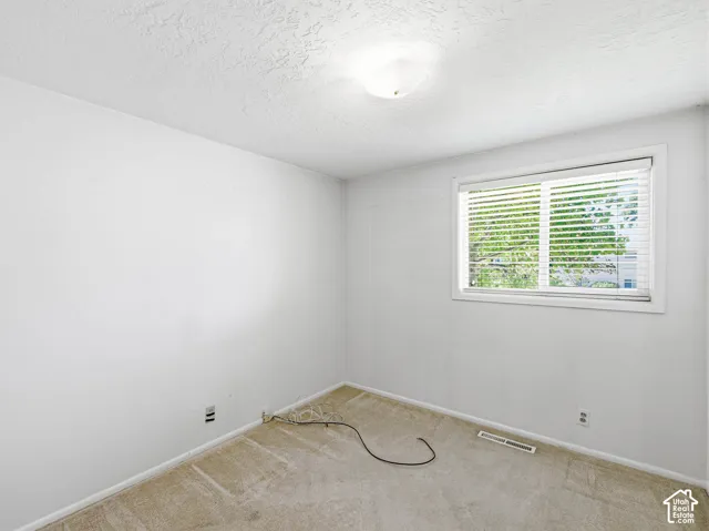 Neutral wall paint, carpeted flooring, window with blinds, and a ceiling-mounted light fixture