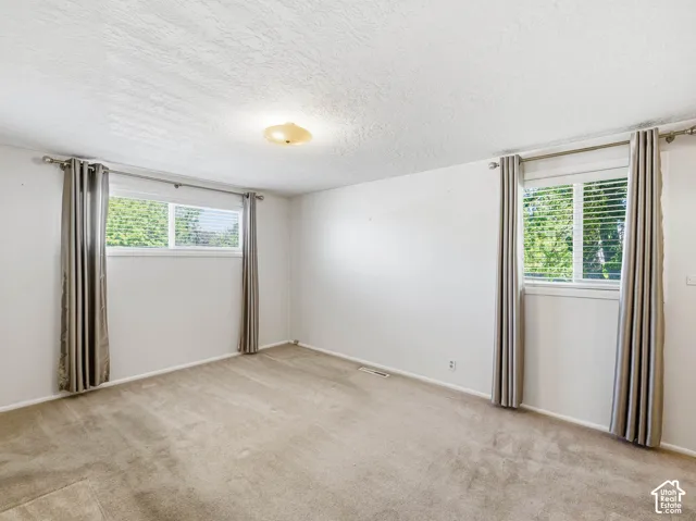 Neutral wall color, carpeted flooring, two windows with blinds, and a flush mount ceiling light fixture