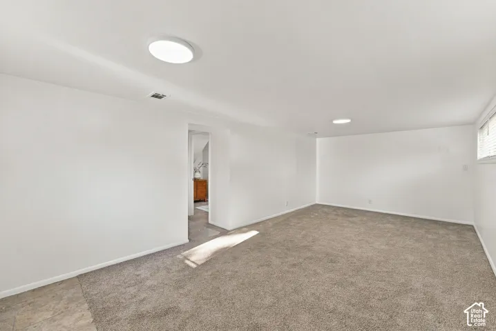 Basement Family Room