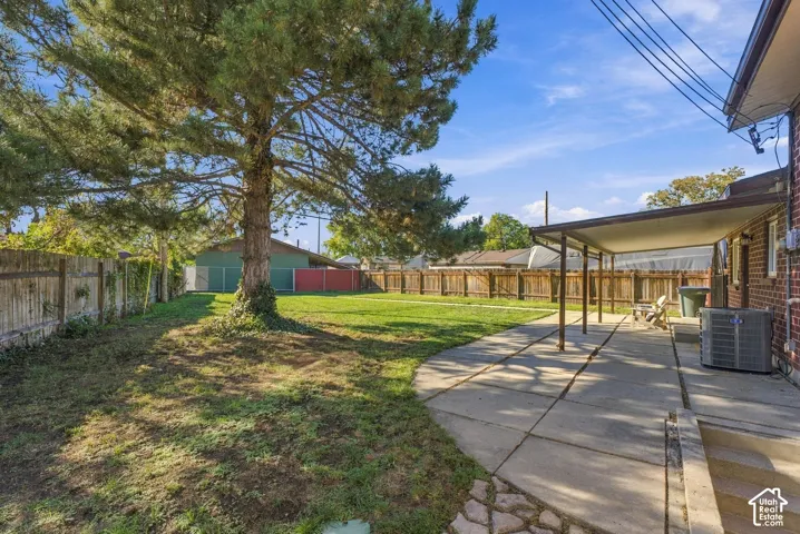 Expansive Backyard