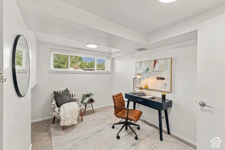 Basement Bedroom/Office