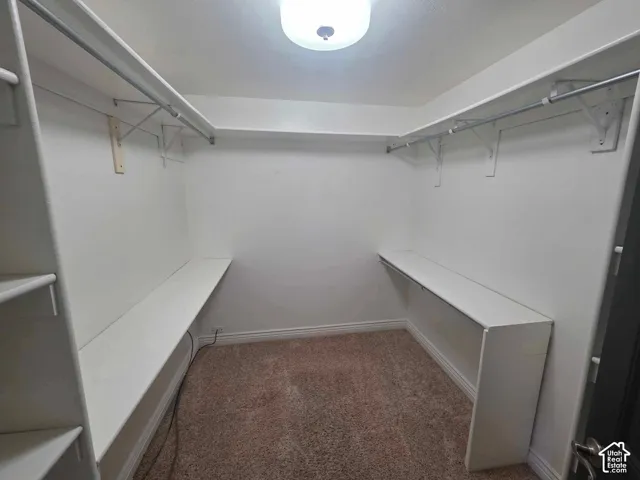 Walk-in storage space featuring built-in shelving, dual hanging rods, carpeting, and overhead flush-mount lighting