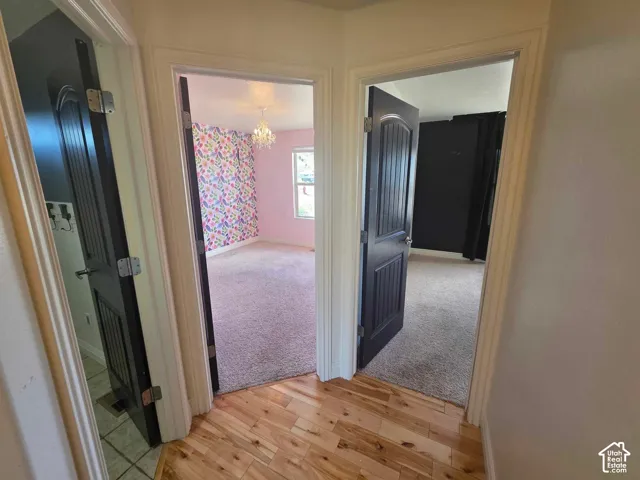 Wood-finish flooring, two interior doors with dark wood-grain finish, and neutral wall-toned trim