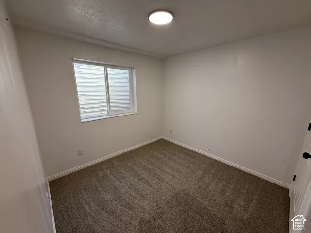 Neutral-toned carpeting, single-pane window with egress window well, and flush-mount ceiling lighting