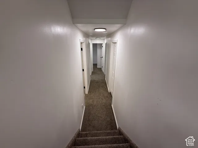 Hallway featuring neutral-toned carpeting, multiple interior doors, and flush-mount ceiling lighting