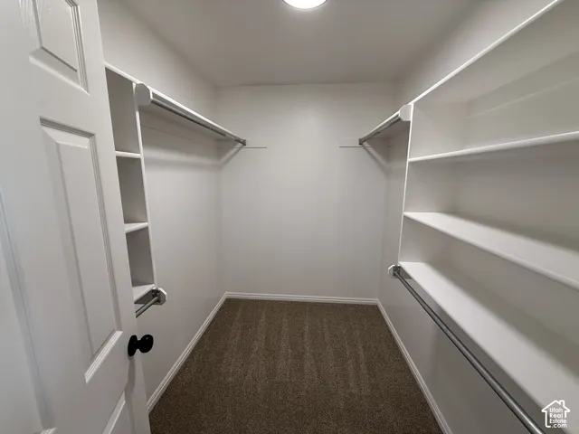 Walk-in closet featuring wall-to-wall carpeting, multiple built-in shelving units, and dual-level hanging rods