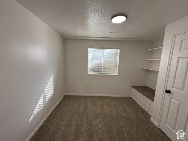 Neutral-toned carpeting, built-in lower storage cabinetry, integrated wall shelving, and a dual-pane window with horizontal blinds