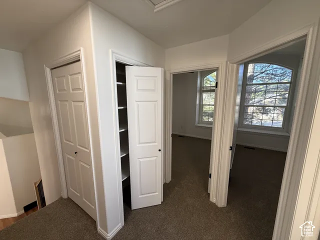 Built-in storage closet with multiple shelves, four-panel interior doors, carpeted flooring, and arched windows