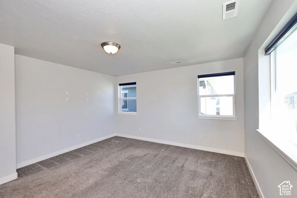 Neutral interior space featuring neutral wall paint, carpeting, multiple windows, and a flush-mount light fixture