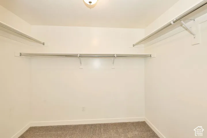 Storage area featuring wall-to-wall shelving and hanging rods with neutral carpeting