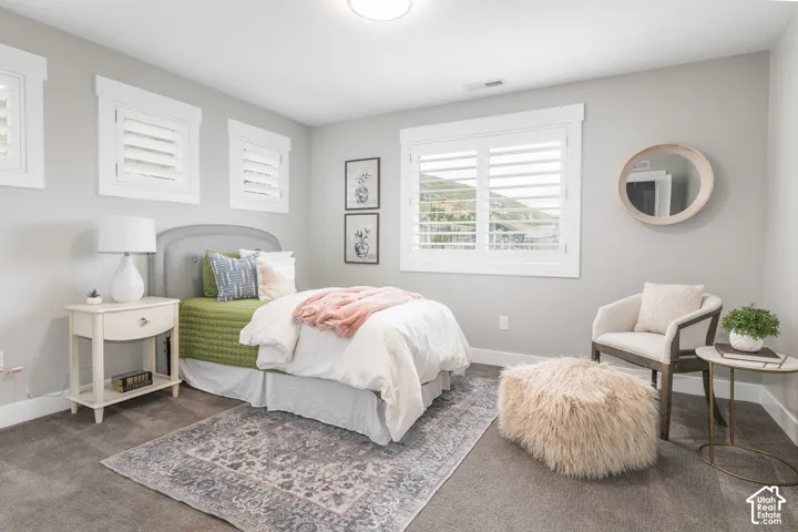 Neutral-toned interior featuring plush carpeting, expansive windows with custom plantation shutters, and trim-detailed window casing