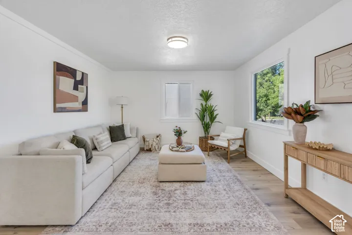Interior space featuring wood-finish flooring, two dual-pane windows with white trim, and a flush-mount circular ceiling light fixture