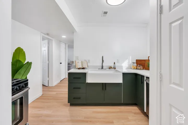 Kitchen area featuring matte green cabinetry, an apron-front farmhouse sink, light-toned stone-finish countertops, wood-finish flooring, and black hardware