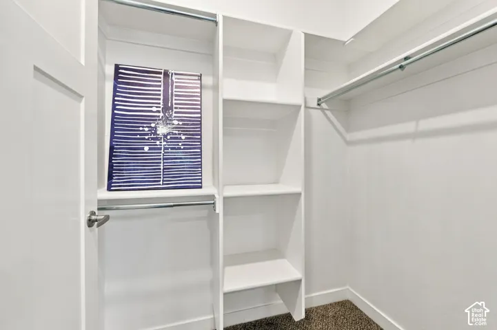 Walk-in closet featuring white built-in shelving, dual-tier hanging rods, and neutral carpeted flooring