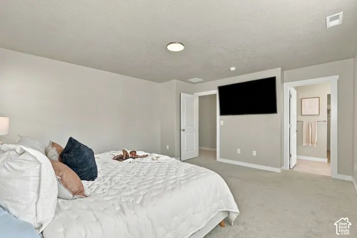 Neutral-toned interior featuring wall-to-wall carpeting, flush-mount ceiling lighting, and solid-core interior doors with white-painted trim