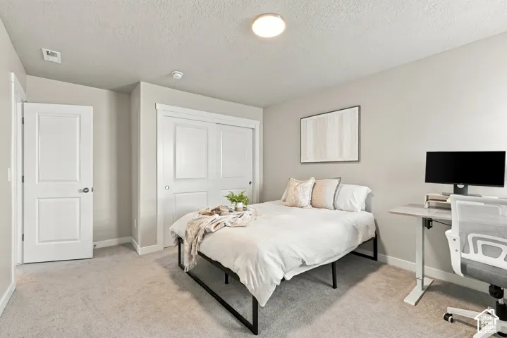 Neutral interior featuring high-pile wall-to-wall carpeting, two-panel interior doors, recessed closet doors with trim, and a low-profile flush-mount ceiling light