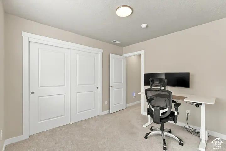 Neutral-toned interior featuring plush carpeting, a dual-panel sliding closet, a single-panel interior door, and a flush-mount overhead light fixture