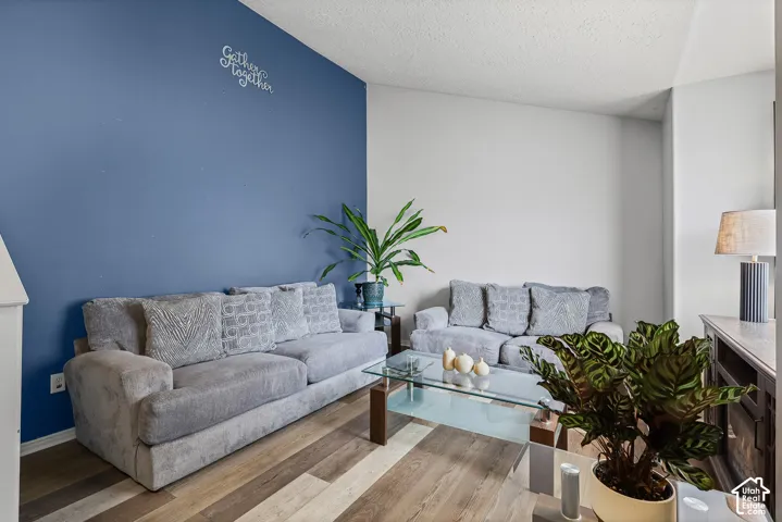 Living area featuring wood-finish flooring and a distinctive blue accent wall