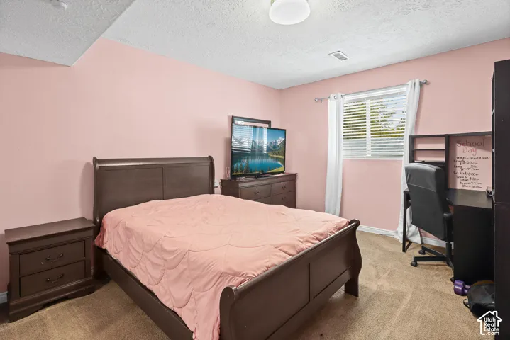 Neutral-toned carpeting, textured ceiling, and a horizontal window with adjustable blinds