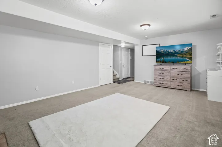 Neutral-toned interior space featuring wall-to-wall carpeting, flush-mount ceiling lighting, and multiple panel doors