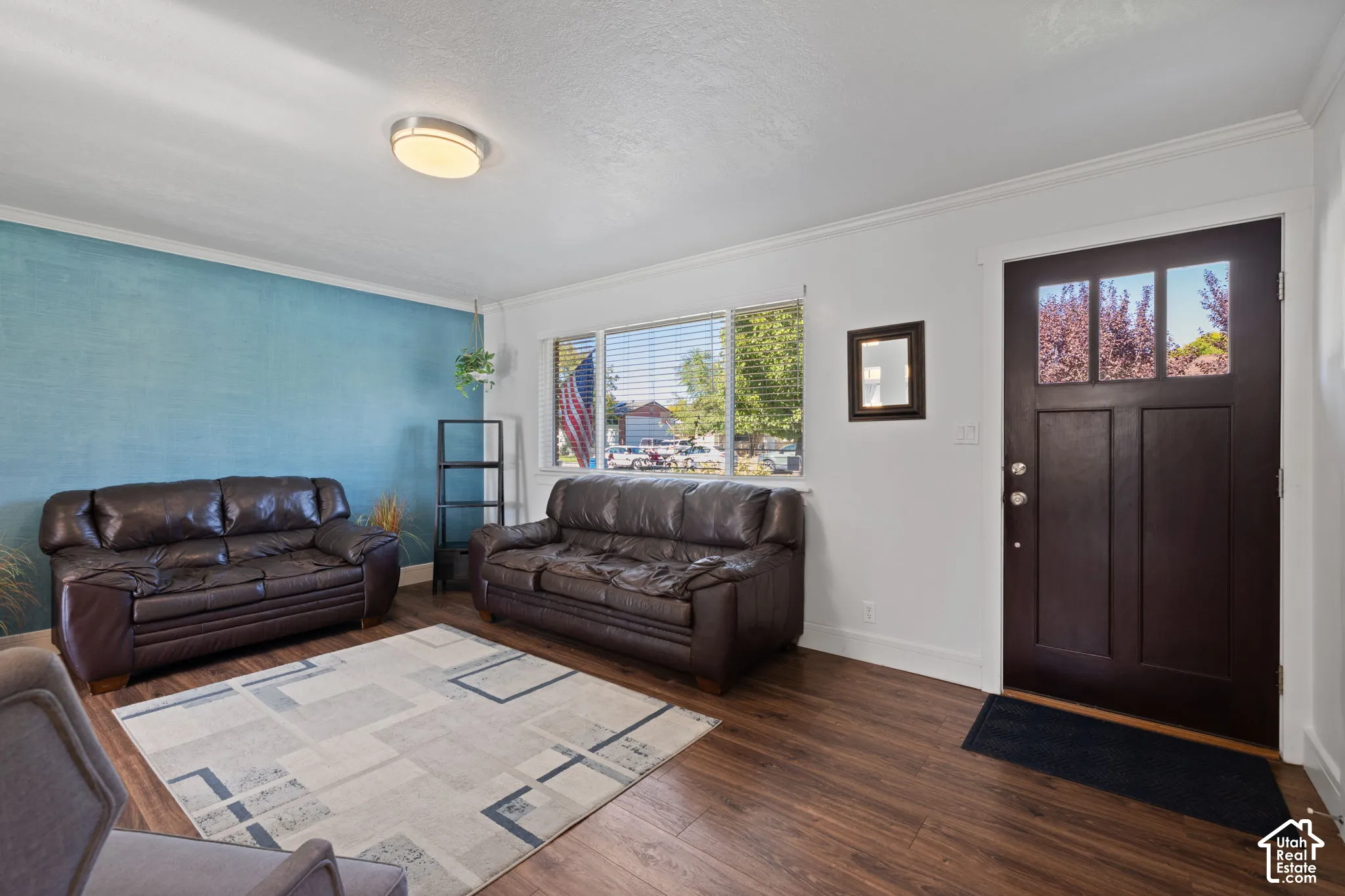 Living space featuring wood-finish flooring, a bold blue accent wall, a wide picture window, and a dark-toned exterior door with a multi-pane glass insert