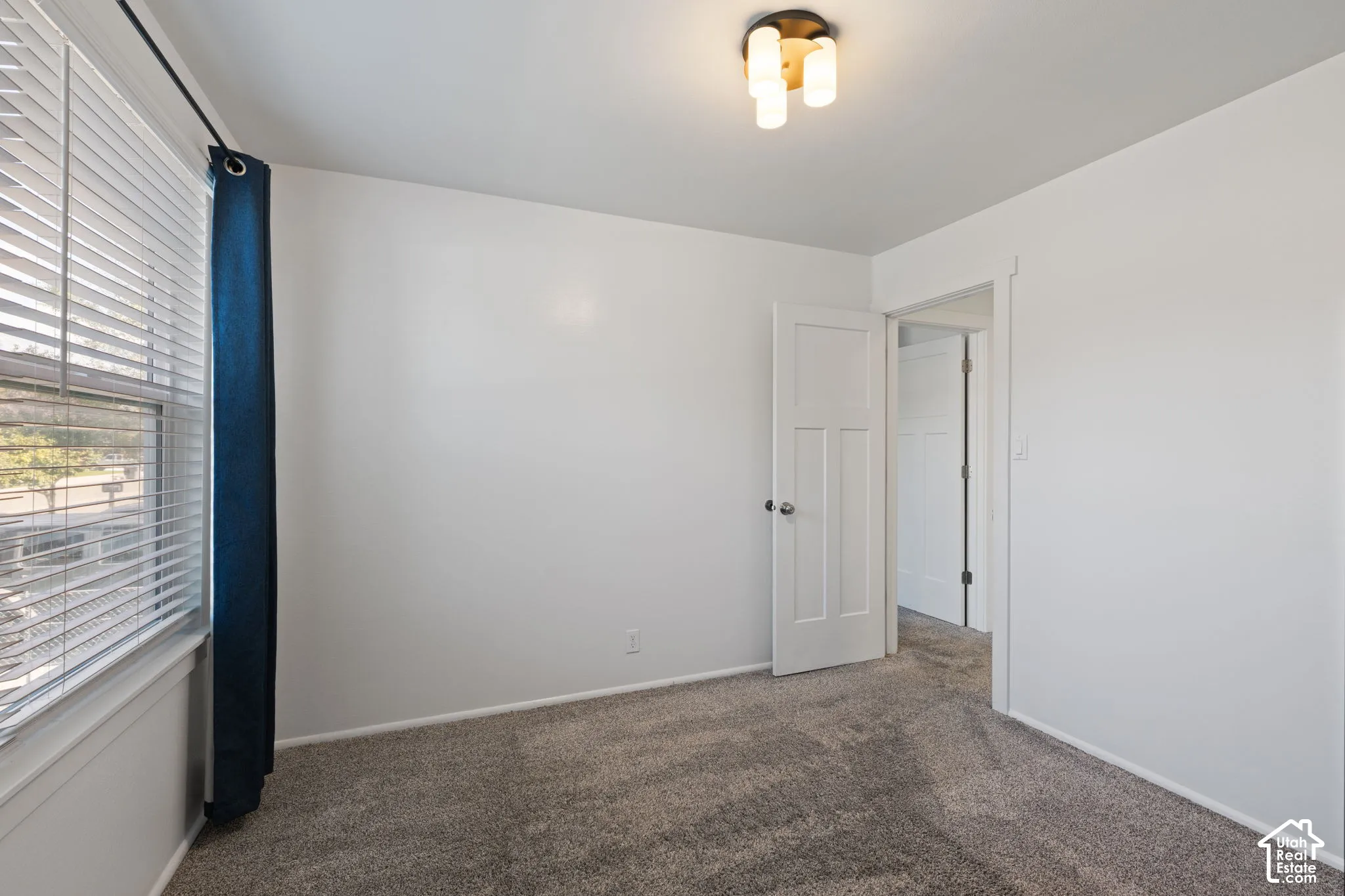 Interior room featuring gray wall-to-wall carpeting, neutral-toned walls, a multi-light flush-mount ceiling fixture, and a white three-panel door