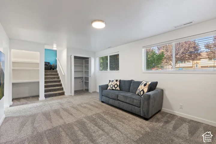 Neutral interior featuring wall-to-wall carpeting, built-in recessed shelving, dual-window configuration with horizontal blinds, and a dedicated storage closet