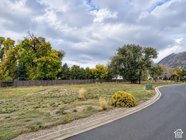 Expansive vacant lot featuring a paved road, mature trees, mountain backdrop, and perimeter fencing