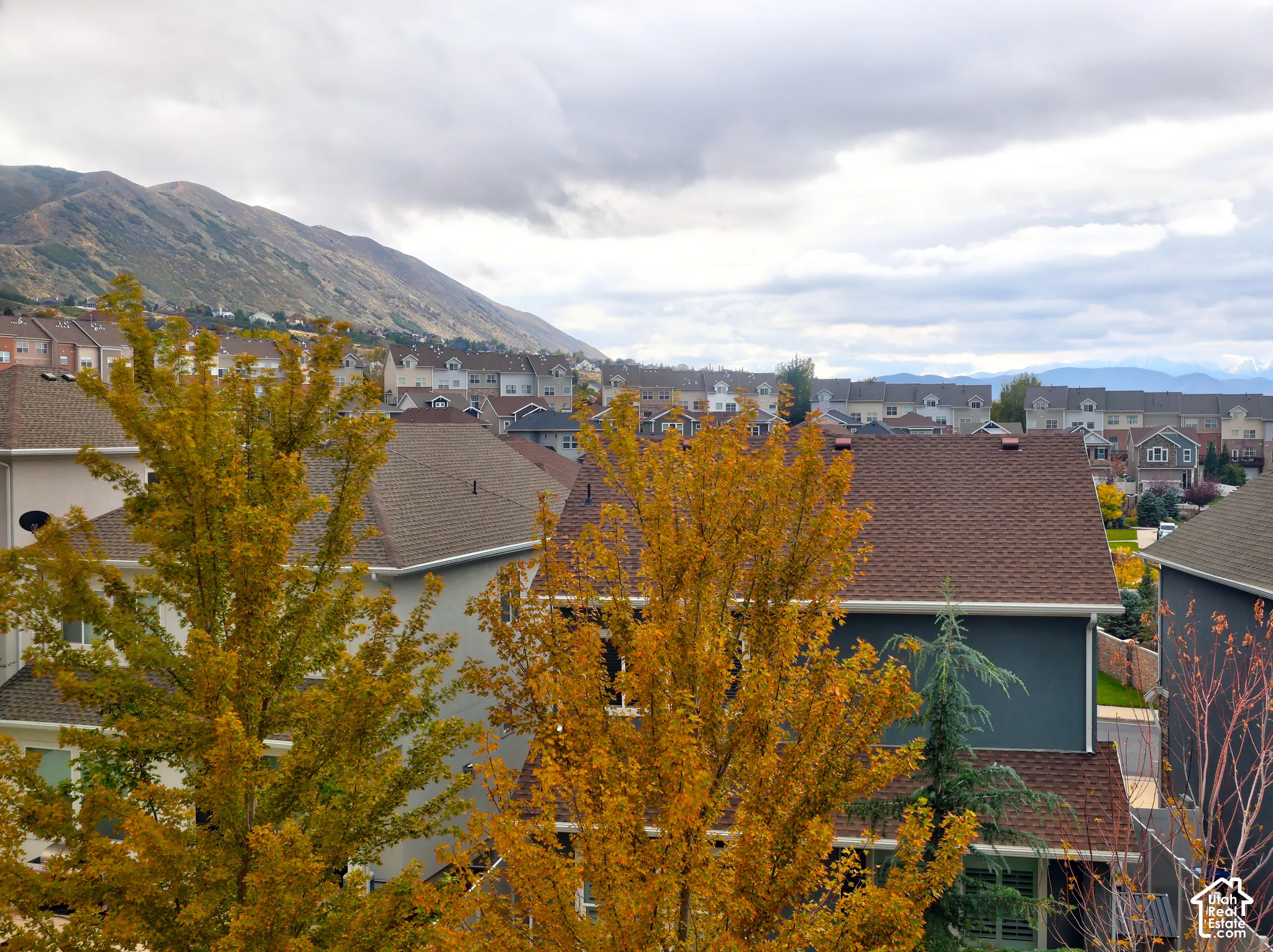 Elevated perspective featuring mountain scenery and mature trees