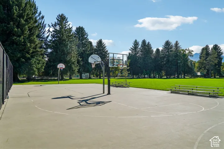 Paved basketball court with two hoops, surrounded by a chain-link fence, large grassy area, and mature evergreen trees