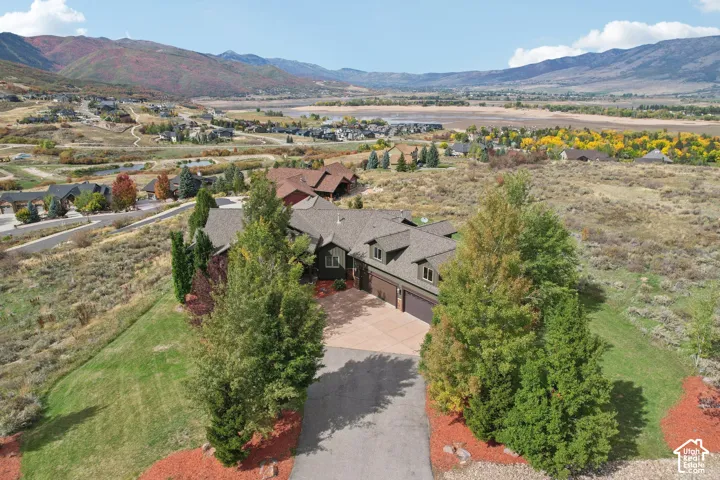Expansive property with a multi-car driveway, established trees, and mature landscaping