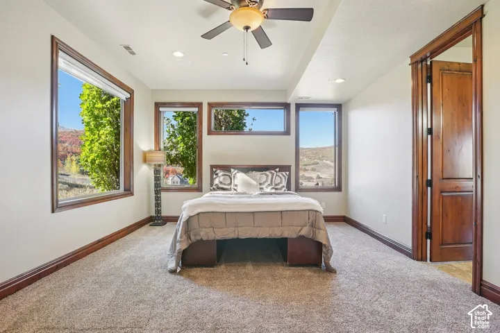 Recessed lighting, wood-trimmed windows, ceiling fan, wood-paneled door, and plush carpet