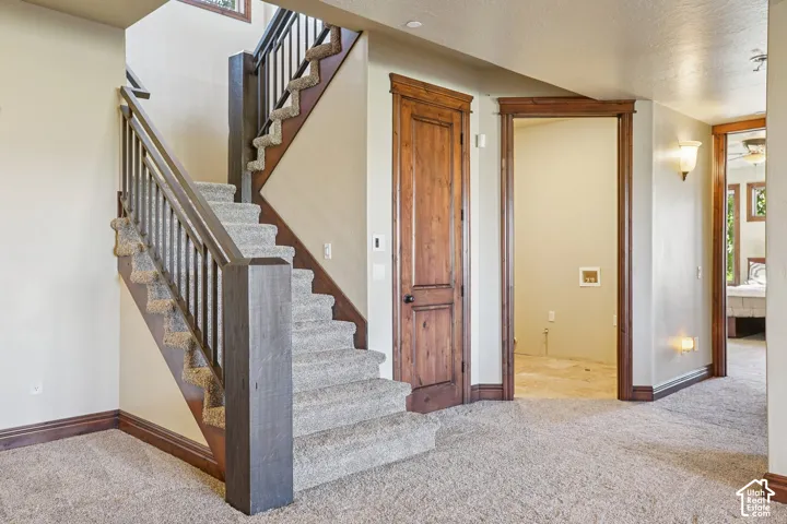 Carpeted staircase with dark wood-finish newel posts and handrails, dark wood-finish interior doors, and wall-mounted light fixtures