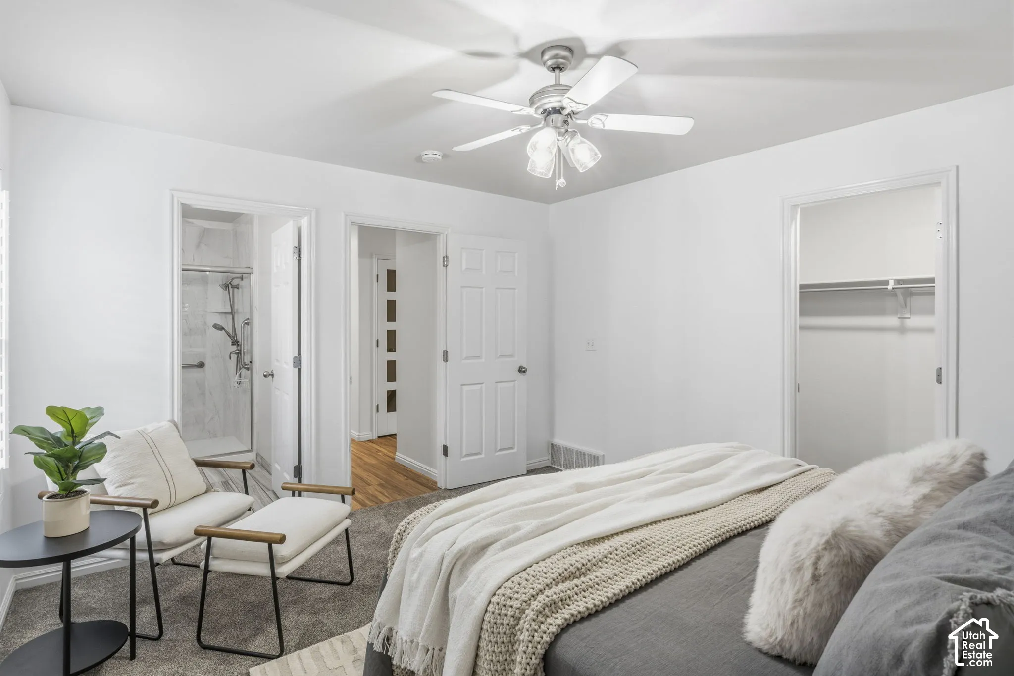 Neutral-toned carpeting, ceiling fan with integrated lighting, walk-in closet with built-in shelving, and en-suite bathroom featuring a glass-enclosed shower