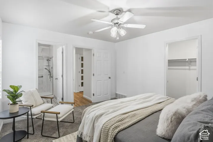 Neutral-toned carpeting, ceiling fan with integrated lighting, walk-in closet with built-in shelving, and en-suite bathroom featuring a glass-enclosed shower