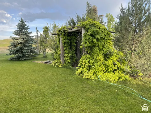 Outdoor garden structure featuring timber post construction and climbing foliage, situated on an expansive lawn with mature evergreen trees