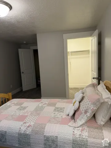 Neutral wall tones, carpeted flooring, and a walk-in closet featuring built-in shelving
