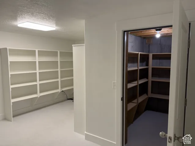 Storage area featuring custom built-in white shelving, recessed LED flush-mount lighting, and a separate enclosed storage space with tiered wood shelving and concrete foundation walls