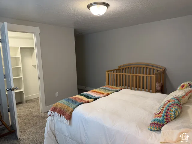 Neutral-toned interior room featuring plush carpeting, a ceiling-mounted light fixture, and a walk-in closet with built-in shelving