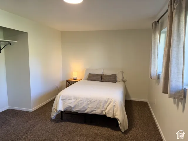 Neutral-toned interior room featuring wall-to-wall carpeting and a recessed closet with an installed rod