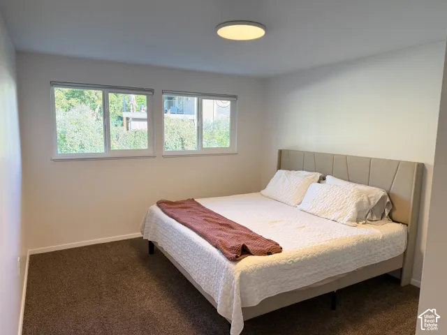 Neutral-toned walls, wall-to-wall carpeting, dual sliding windows, and a flush-mount ceiling light fixture