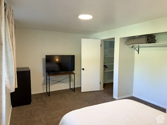 Neutral-toned carpeting, flush-mount ceiling lighting, walk-in closet with built-in shelving, and hanging rod