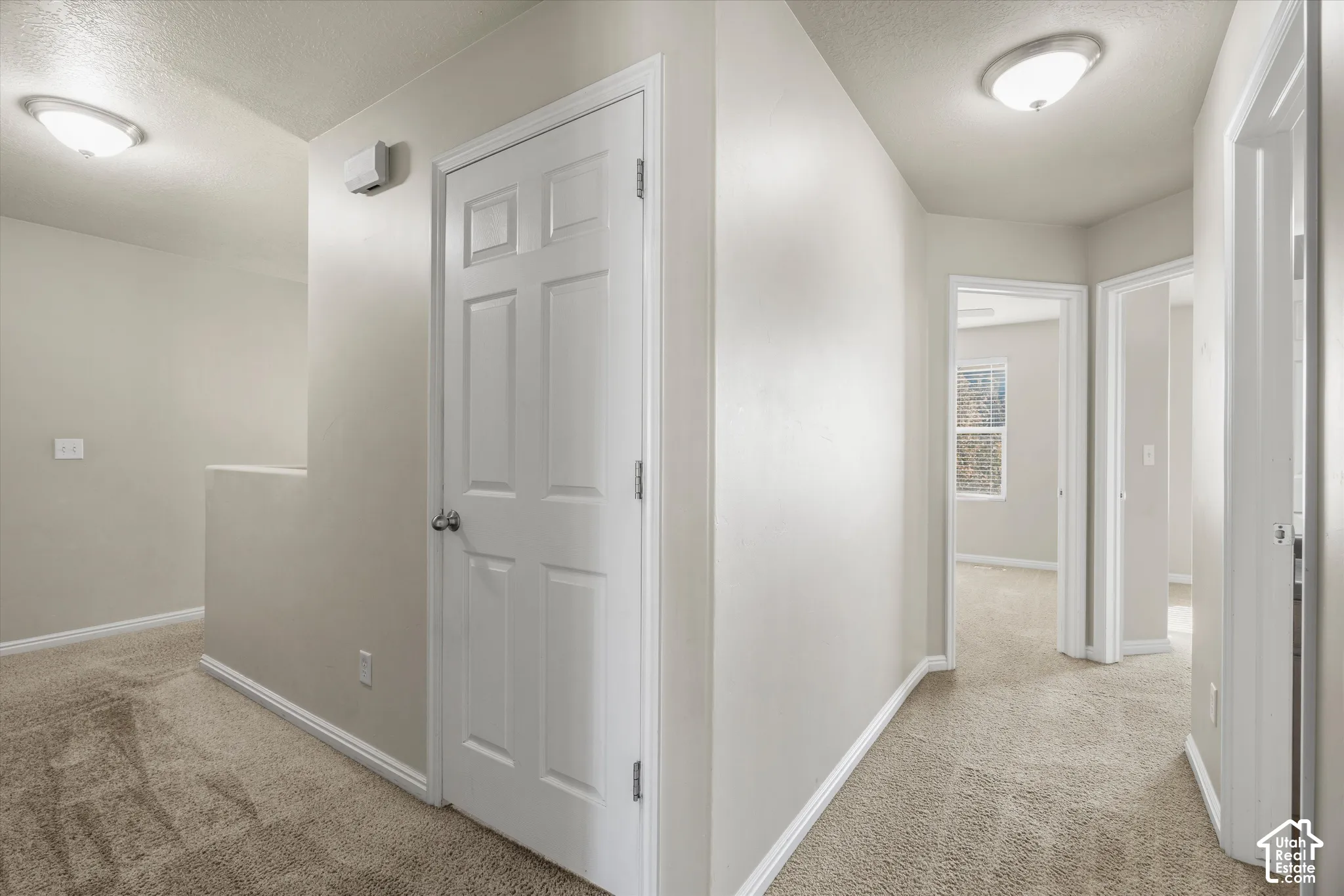 Neutral wall finishes, textured carpeting, six-panel interior doors, and flush-mount ceiling lighting fixtures