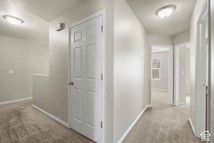 Neutral wall finishes, textured carpeting, six-panel interior doors, and flush-mount ceiling lighting fixtures