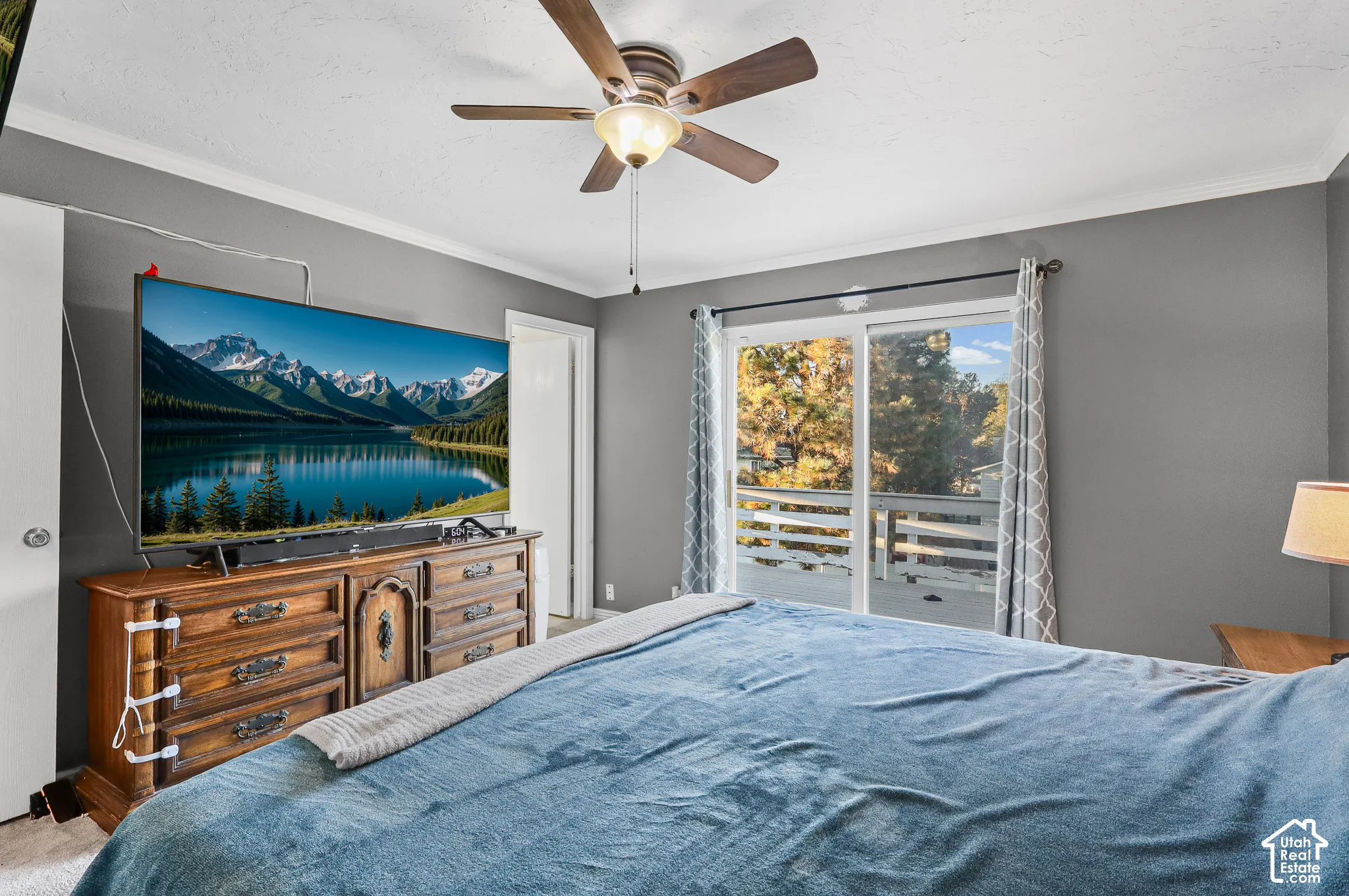 Sliding glass doors, ceiling fan with integrated lighting, and carpeted flooring