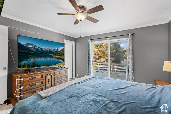 Sliding glass doors, ceiling fan with integrated lighting, and carpeted flooring