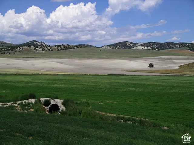 Expansive rural landscape featuring rolling green meadows, open plains, and a mountainous backdrop