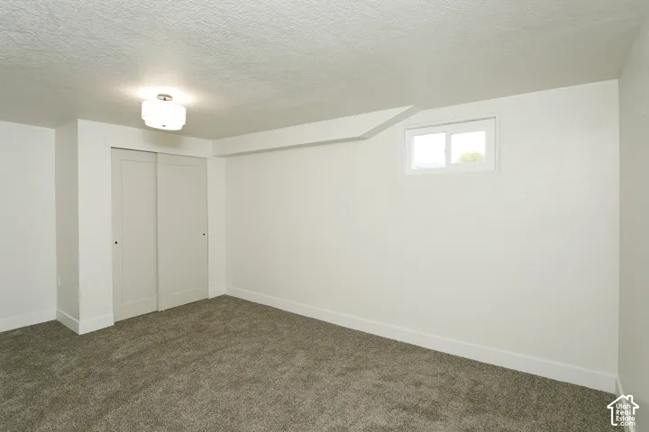 Neutral-toned interior featuring wall-to-wall carpeting, sliding panel closet doors, a horizontal sliding window, and a flush-mount ceiling fixture