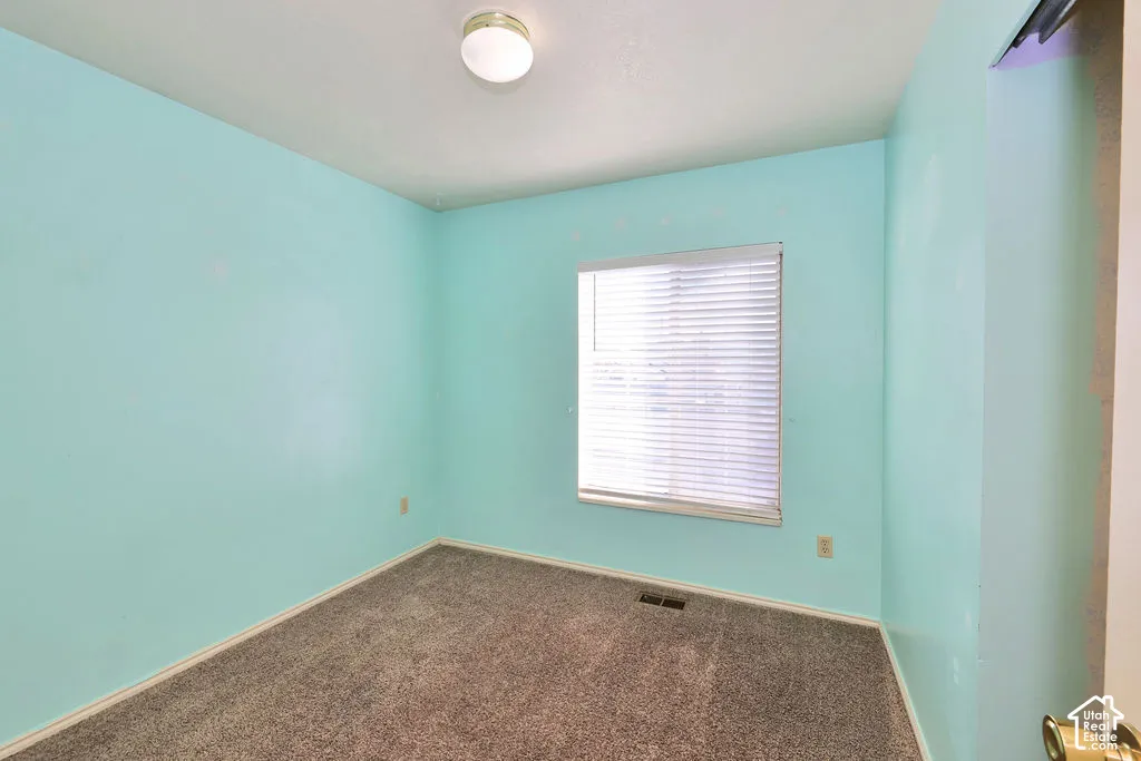 Neutral-toned carpeting, single-pane window with integrated horizontal blinds, and flush-mount ceiling lighting